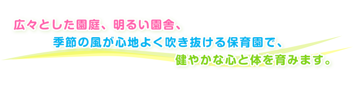 広々とした園庭、明るい園舎、季節の風が心地よく吹き抜ける保育園で、健やかな心が体を育みます。